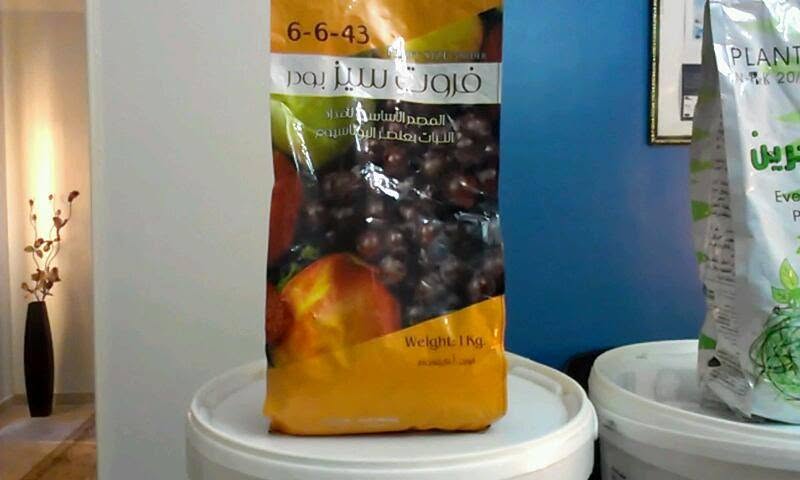 Item Img